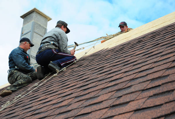 Best Flat Roof Repair Services  in Rock Creek, MN